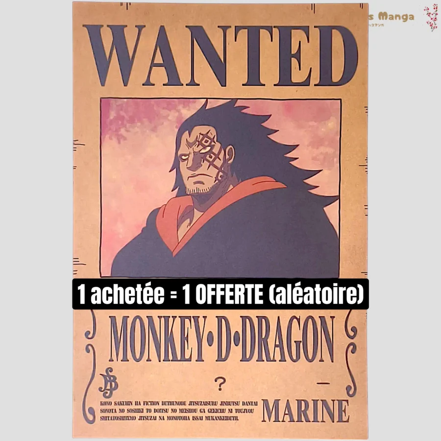 Affiche murale One Piece - Avis de recherche Monkey D. Dragon