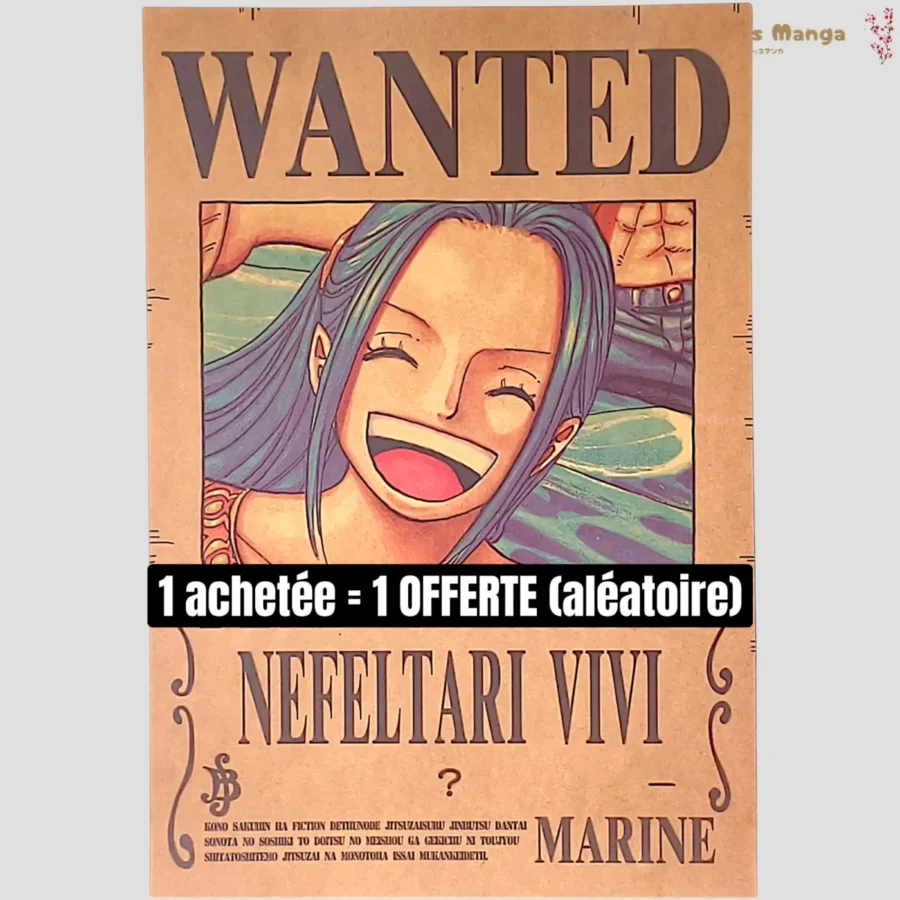 Affiche murale One Piece Avis de recherche Nefertari Vivi