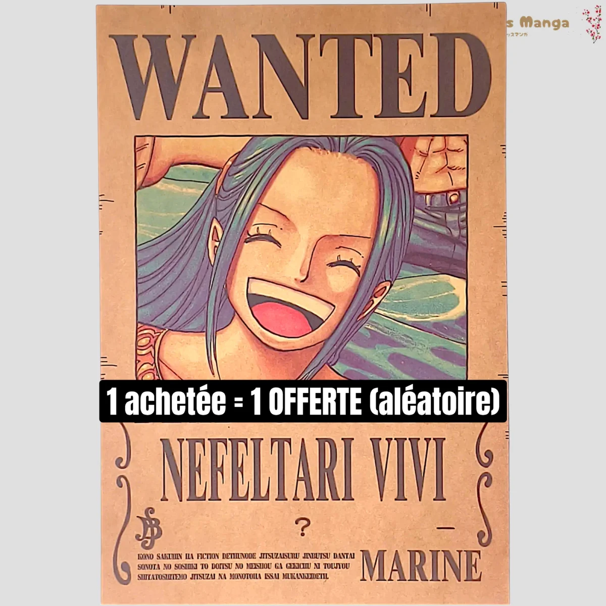 Affiches One Piece